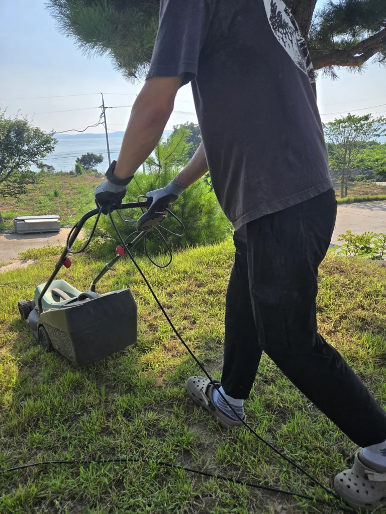 lawn-care 교육 실습 사진