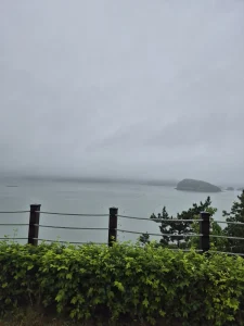 솔비치 현장 워크숍